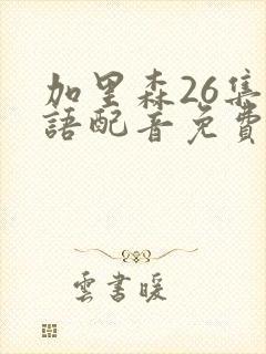 加里森26集国语配音免费观看