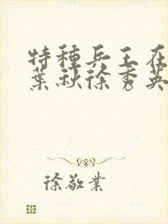 特种兵王在山村叶秋徐秀英