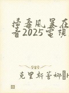 扫毒风暴在线观看2025电视剧
