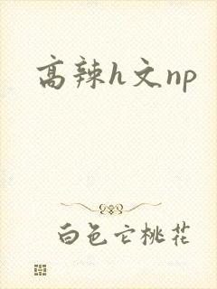 高辣h文np
