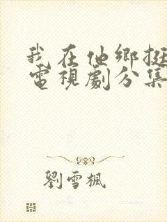 我在他乡挺好的电视剧分集剧情介绍
