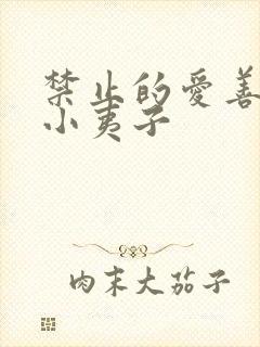 禁止的爱善良的小夷子