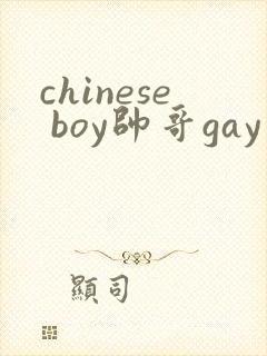 chinese boy帅哥gay twink