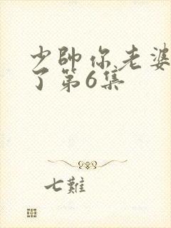 少帅你老婆又跑了第6集