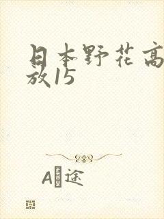 日本野花高清播放15