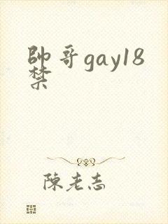 帅哥gay18禁