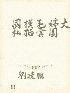 国模毛婷大尺度私拍套图