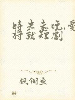 时光未晚,爱不将就短剧