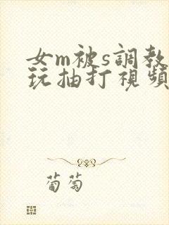 女m被s调教虐玩抽打视频