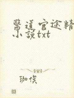 医道官途精校版小说txt