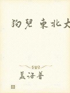 狗儿 东北大炕