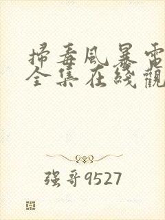 扫毒风暴电视剧全集在线观看