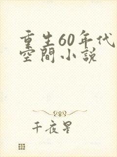 重生60年代有空间小说封面