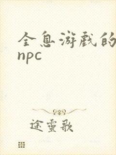 全息游戏的老婆npc