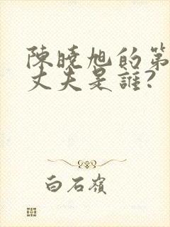 陈晓旭的第一任丈夫是谁?