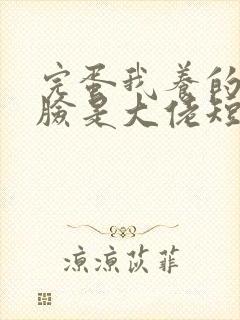 完蛋我养的小白脸是大佬短剧免费