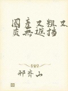 国产又粗又黄又爽无遮挡