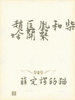 赵匡胤和柴荣是啥关系