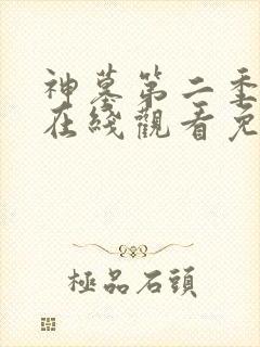 神墓第二季动漫在线观看免费高清完整版