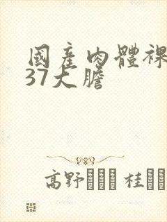 国产肉体裸体137大胆