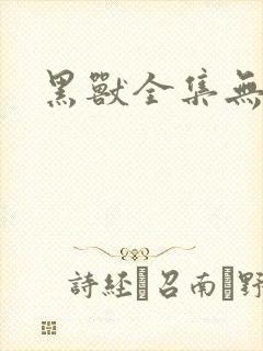黑兽全集无删减封面
