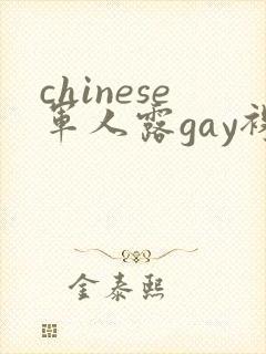 chinese军人露gay裸体网站封面