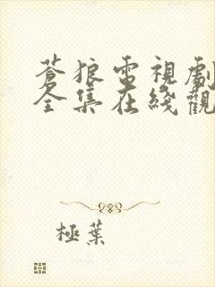 苍狼电视剧免费全集在线观看高清