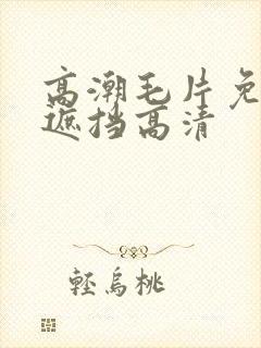 高潮毛片免费无遮挡高清封面