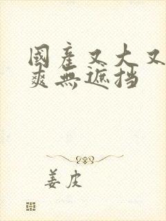 国产又大又黄又爽无遮挡