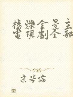 杨烁金晨主演的电视剧全部