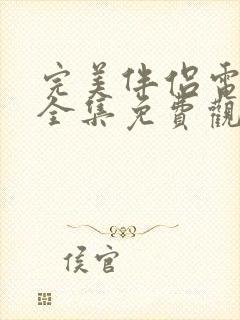 完美伴侣电视剧全集免费观看高清
