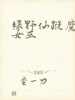 绿野仙踪魔法坏女巫封面