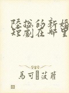 陆总的新婚哑妻短剧在哪里看
