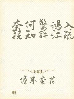 奈何惊鸿入我心段知许江疏桐封面