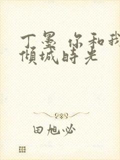丁墨 你和我的倾城时光封面