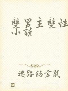 双男主双性高h小说