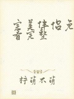 完美伴侣免费观看完整封面