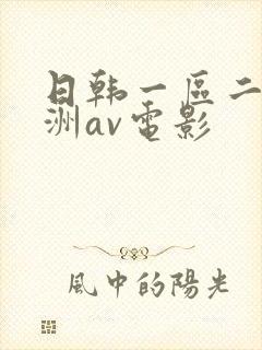 日韩一区二区亚洲av电影