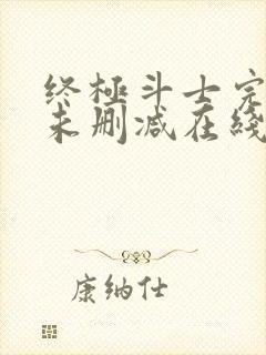 终极斗士完整版未删减在线免费观看封面