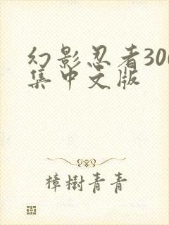 幻影忍者300集中文版