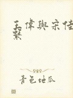 王伟与宋佳的关系