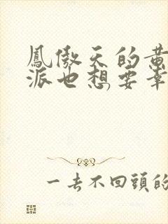 凤傲天的黄毛反派也想要幸福