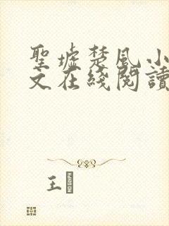 圣墟楚风小说全文在线阅读