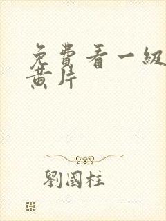 免费看一级视频黄片封面