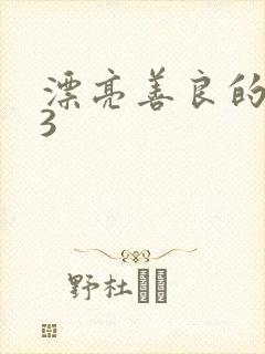 漂亮善良的嫂子3封面
