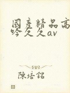 国产精品高潮呻吟久久av