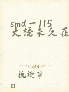 smd一115大桥未久在线播放