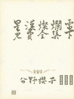 星汉灿烂电视剧免费全集下载