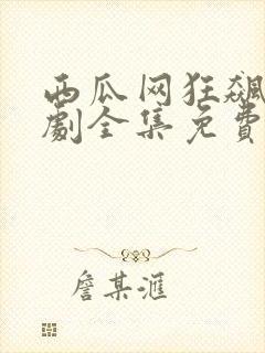 西瓜网狂飙电视剧全集免费播放