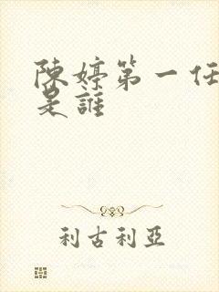 陈婷第一任丈夫是谁